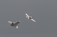 Typhoon_and_Spitfire-5356.jpg