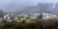 Graveyard_in_the_Mist_by_Bert_Schmitz.jpg