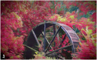 Bucks_Mill_Wheel_Oil_Painting-_Karen.jpg