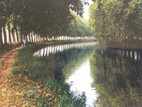 CanalDeMini-VerneHenshall.jpg