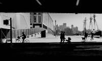 IMG_2640.jpg