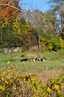 DSC_0047.JPG