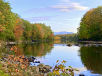 Fall_in_New_Hampshire_2_Dawn_Dingee.jpg