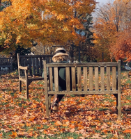 IMG_5923.jpeg