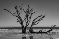 Botany_Bay_Andres__Valdespino.jpg