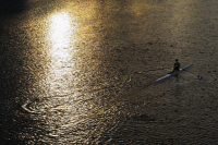 Rower_on_the_Arno_Andres_Valdespino.jpg