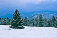 Blue_Hour_1_-_By_Karen_McMahon.jpg