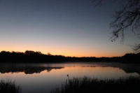 IMG_3208.jpeg