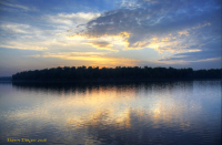 Rickets_Glen_PA_DawnDingee.jpg