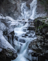 _88A9779-2-Edit-Edit-2.jpg