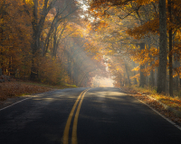 Autumnal_Glow_-_Jack_Kearney.jpg