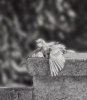 Heat_Exhaustion_-_By_Karen_McMahon.jpg