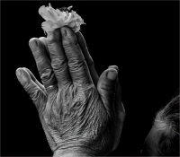 Praying_by_Bert_Schmitz.JPG