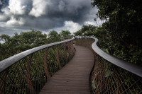 Into_the_Storm_281_of_129.jpg