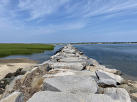 Provincetown_Breakwater_DawnDingee.jpg