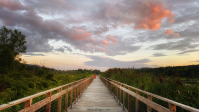 Rail_Trail_at_Sunset_dawndingee.jpg