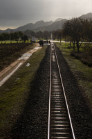 Tracks_281_of_129.jpg