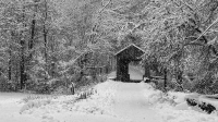 Grafton_Covered_Bridge_Hoeller-1.jpg