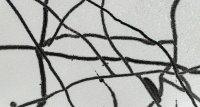 Naural_Lines_BWilcox.jpg