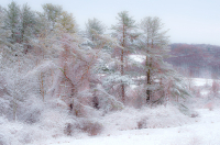 DSCF0738.jpg