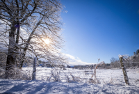 DSCF7388.jpg