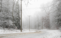DSCF8073.jpg