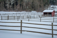 Lines_by_Bert_Schmitz_28229.jpg