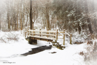Stone_Church_Bridge_DawnDingee.jpg