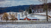 Winter_Farm_by_Bert_Schmitz_28129.jpg
