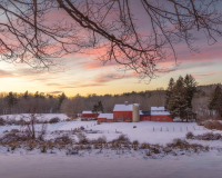 _88A8421-Edit-Edit.jpg