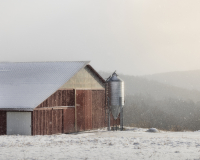 _88A8621-Edit.jpg