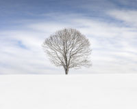 _88A8803-Edit-Edit.jpg