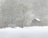 _88A8929-Edit-Edit-Edit-Edit.jpg
