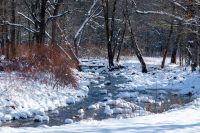 Hoeller_Winter_Stream-1.jpg