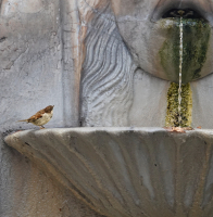 WatchingTheWater_NancyZannini.jpeg