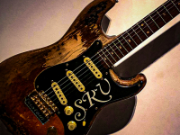 Hoeller_SRV_electric_guitar-1.jpg
