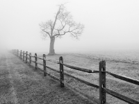 Fading_Boundaries-BWilcox_.jpg