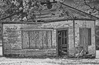 I_m_Still_Standing_-_By_Karen_McMahon.jpg