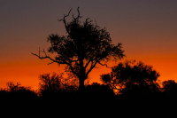 Sunrise_1.jpg