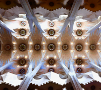 Ceiling_detail_Sagrada_familia__Mark_Marshall.jpeg