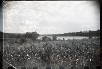 Hutch06_S1_Sb2_Str93_37.jpg