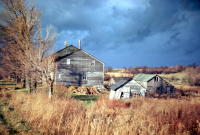 Hutch24_S1_Sb3_B01_131.jpg