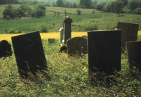 Hutch24_S1_Sb3_B02_147.jpg