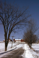 Hutch24_S1_Sb3_B06_111.jpg