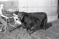 vHutch06_S2_SbR_Str16_4.jpg