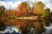 2-Fall_Reflections_DawnDingee.jpg