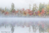 4-Fog_on_the_Lake_DawnDingee.jpg