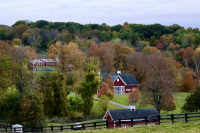 IMG_6391.jpg