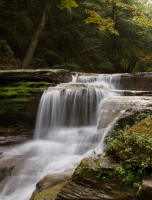 unnamed_28129.jpg