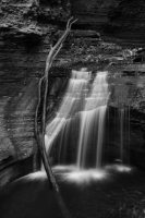 unnamed_28329.jpg